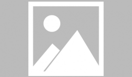 林园最新视频,揭秘投资智慧与市场洞察